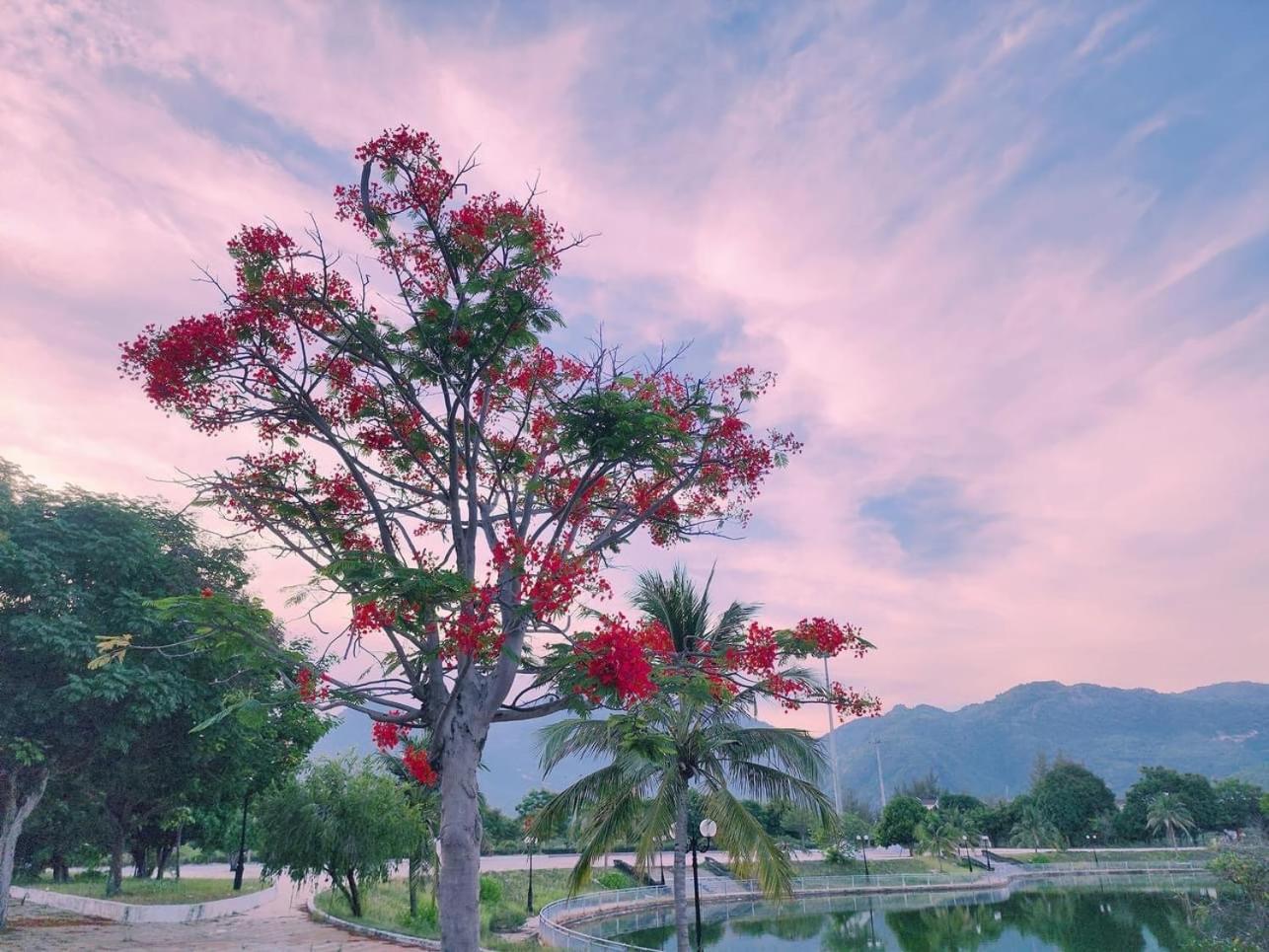 Moc Homestay- Near Bai Dai Beach Cam Lam Exteriör bild