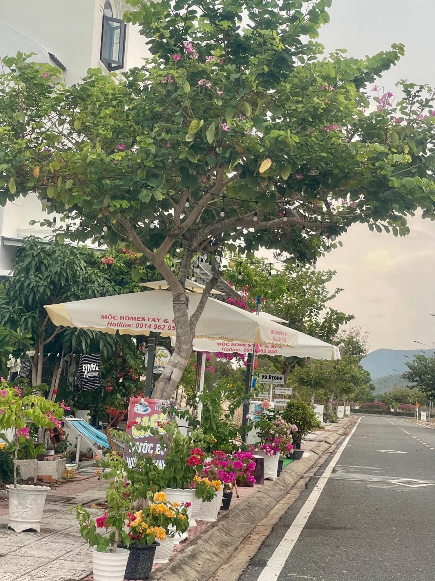 Moc Homestay- Near Bai Dai Beach Cam Lam Exteriör bild